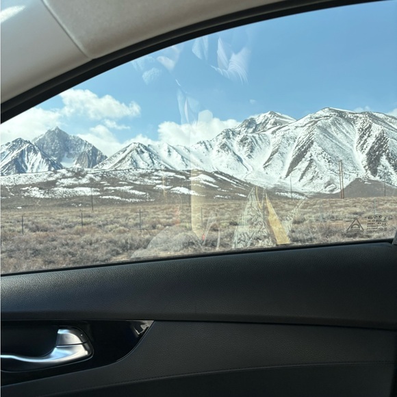 Moving Sale🥂 - Picture 1 of 1